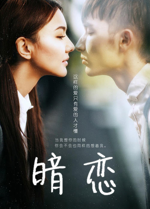 南澳大学市场开发文凭证书